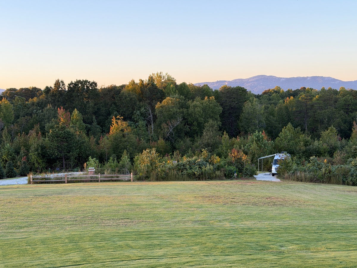Our fenced apiary beside a grassy clearing, with forest and mountains beyond in upstate South Carolina.
